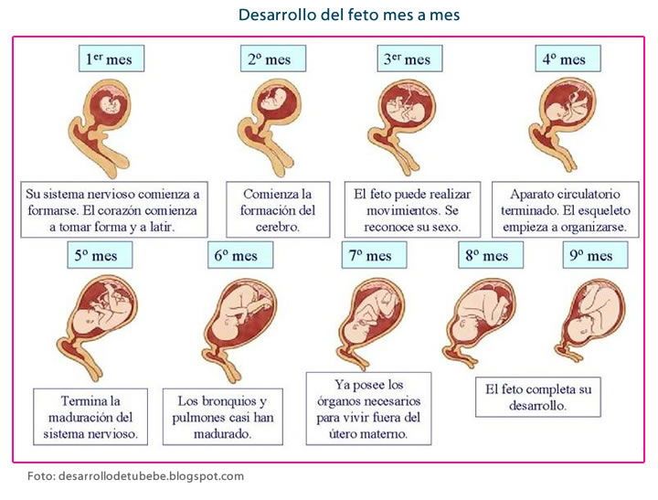 Edad 32 Años Caduca En 13 Dias 4076