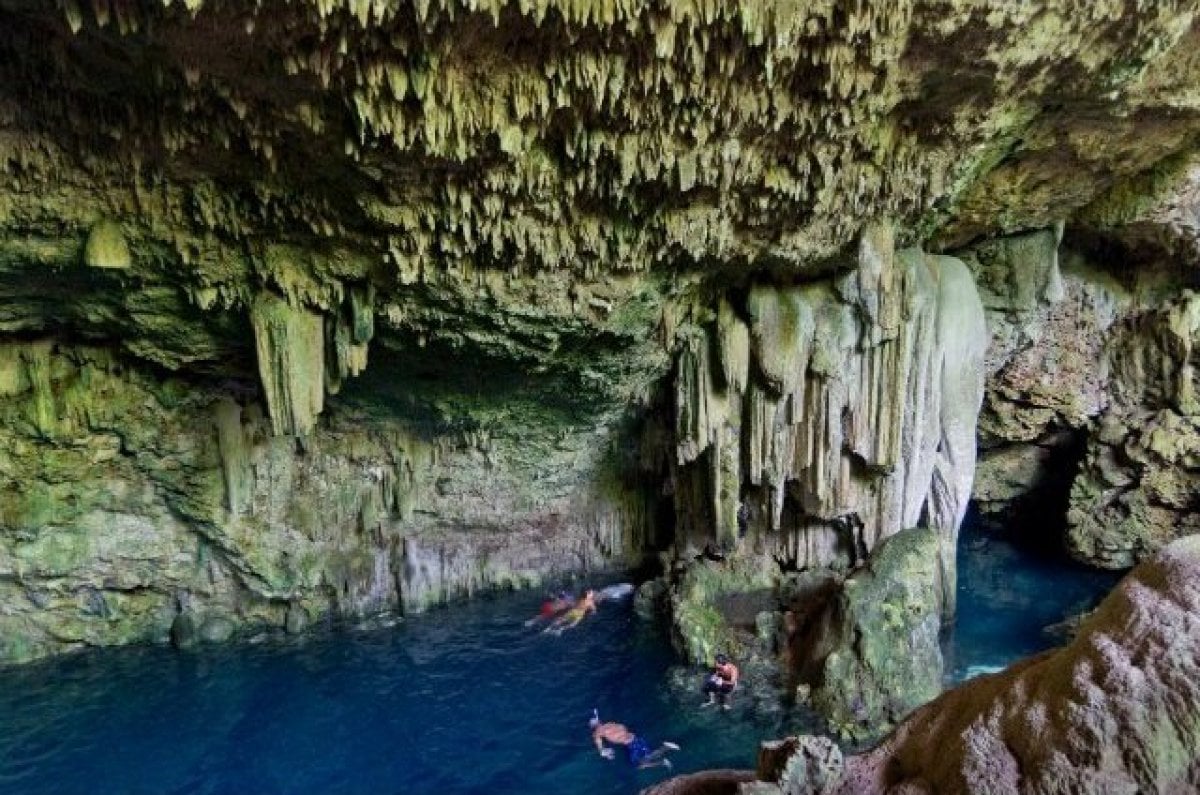 Cueva Calida Humedad 5132